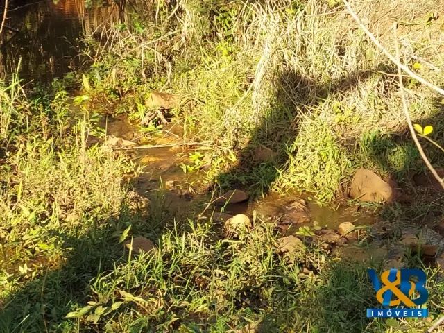 Sítio à venda - Ourinhos/SP - Foto 5