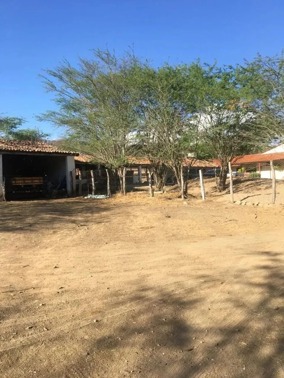 Fazenda 300 hec, BR 232 Passando Dentro, São Caetano, Vendo Desmembrada, Valor p/hec - Foto 11