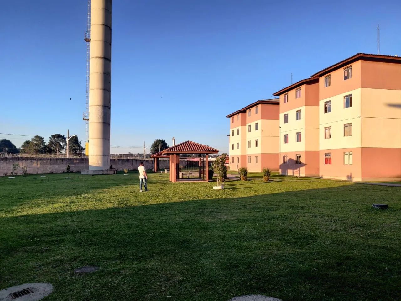 Foto - São José dos Pinhais - Ipê