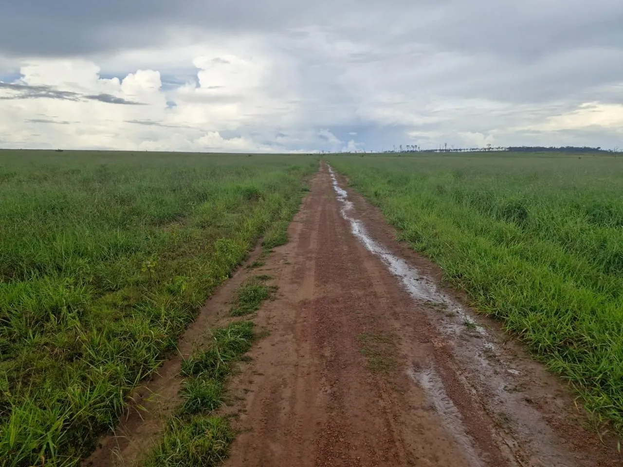 Fazenda de arrendamento total 10. Mil hec, libera 1.500 por ano, em Juara MT. Argila 40%
