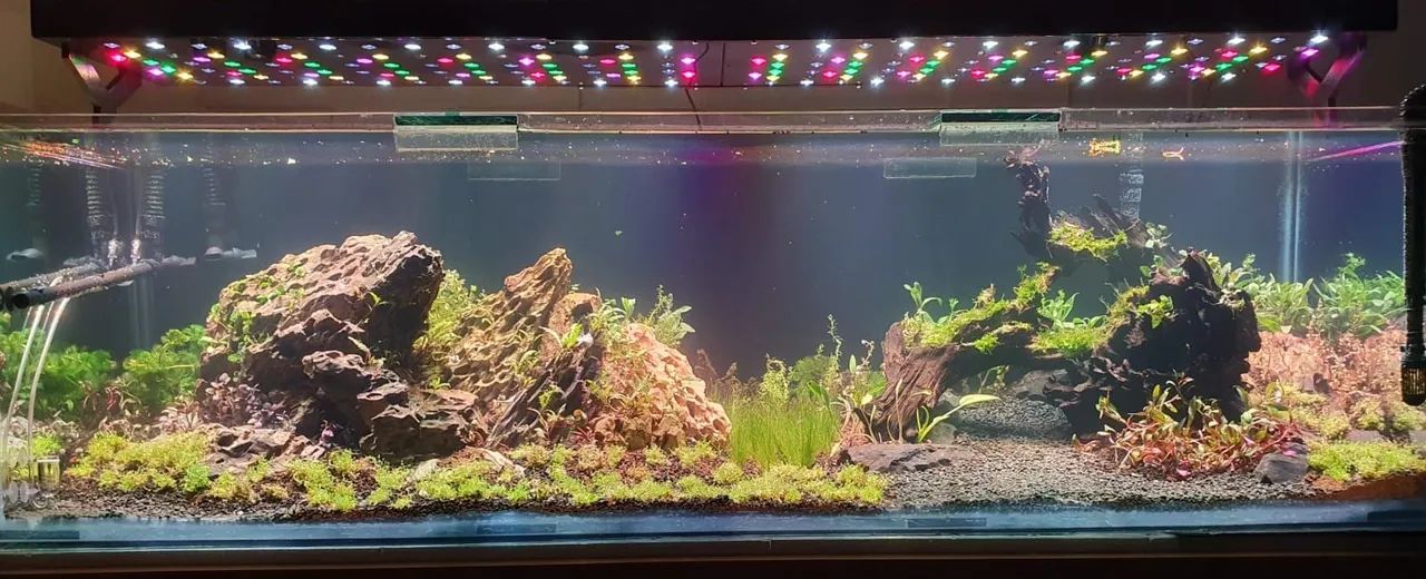 Aquario + Filtros + Luminárias. 80% de desconto! - Foto 3