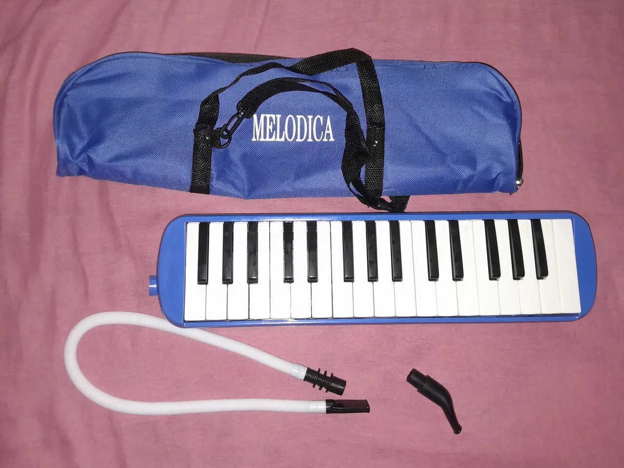 Escaleta Melodica. ( MOSQUEIRO )