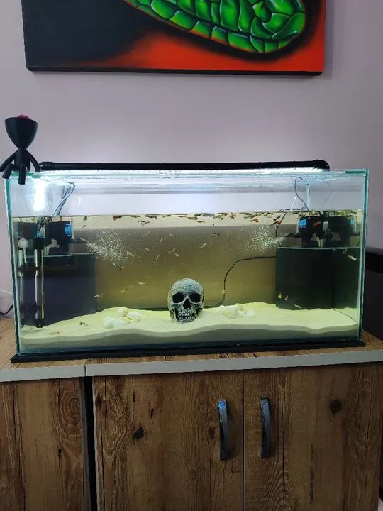 Aquário completo 