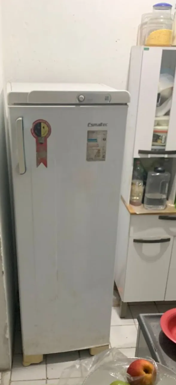 Geladeira palito