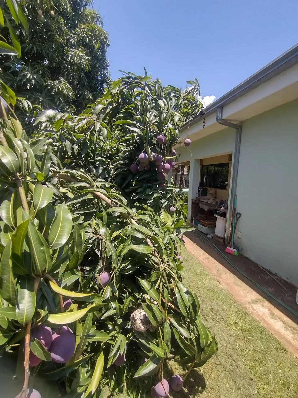 Vende-se Casa com acesso a represa em Carlopolis PR 