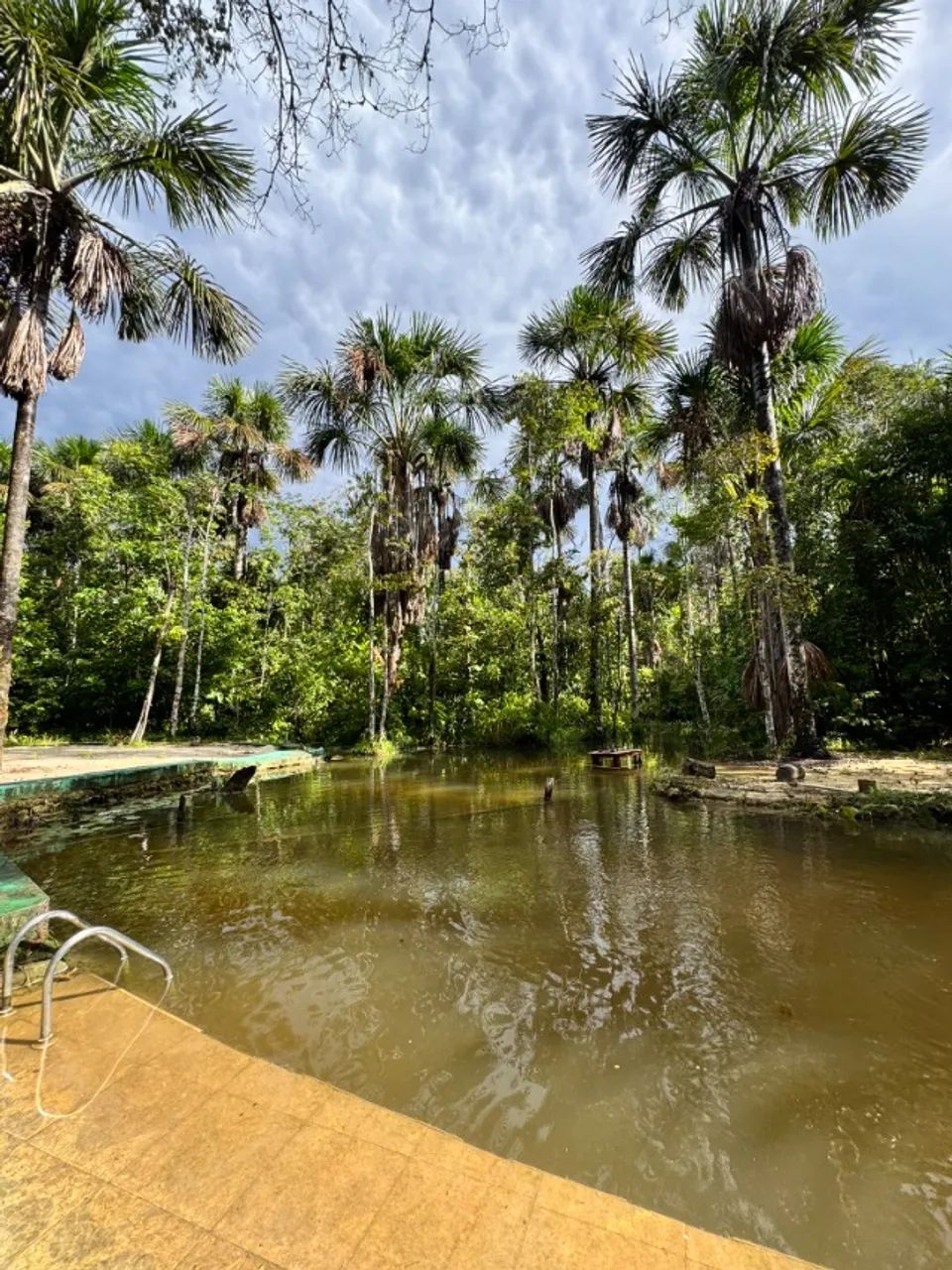 Foto - Manaus - Compensa