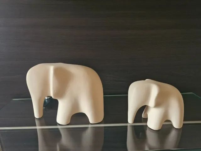 Dupla de Elefante  - Foto 3