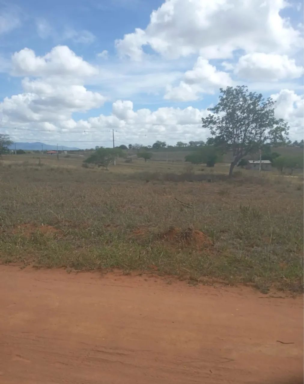 Terreno 40 x 40 rural de riacho das almas  Condomínio fechado - Foto 3