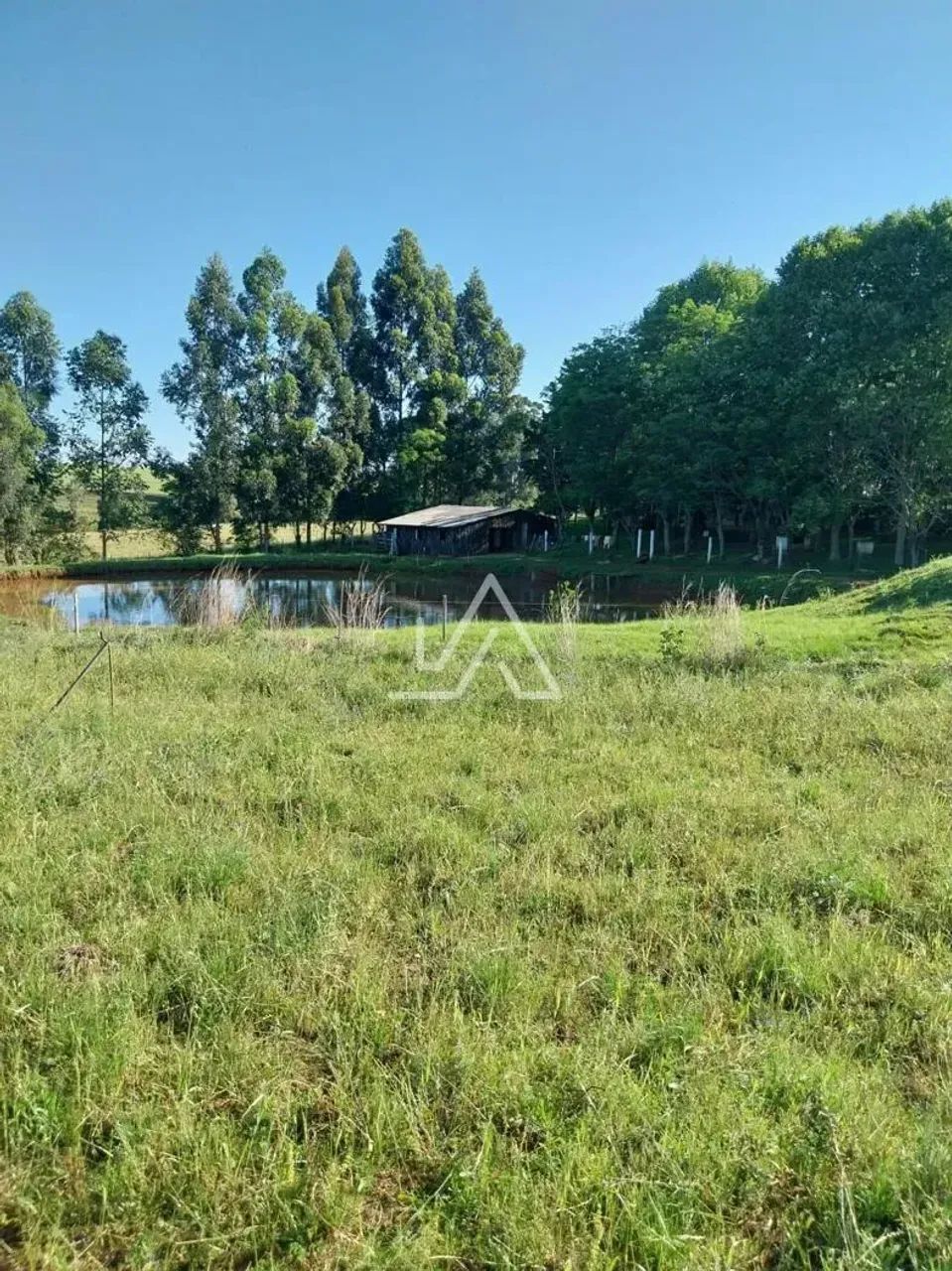 CHACARA COM 4,4 HA - Foto 5