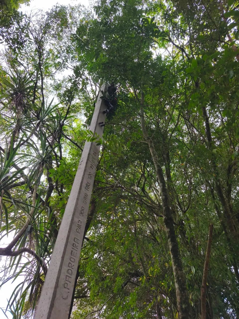 Padrão de Energia Trifásico 80 Amperes | COPEL e COCEL - Foto 3