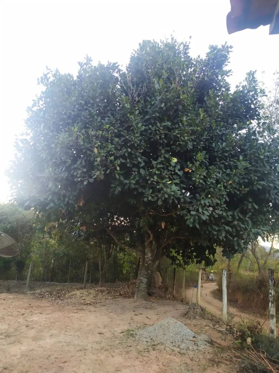 Sítio Porteira Fechada - Foto 4