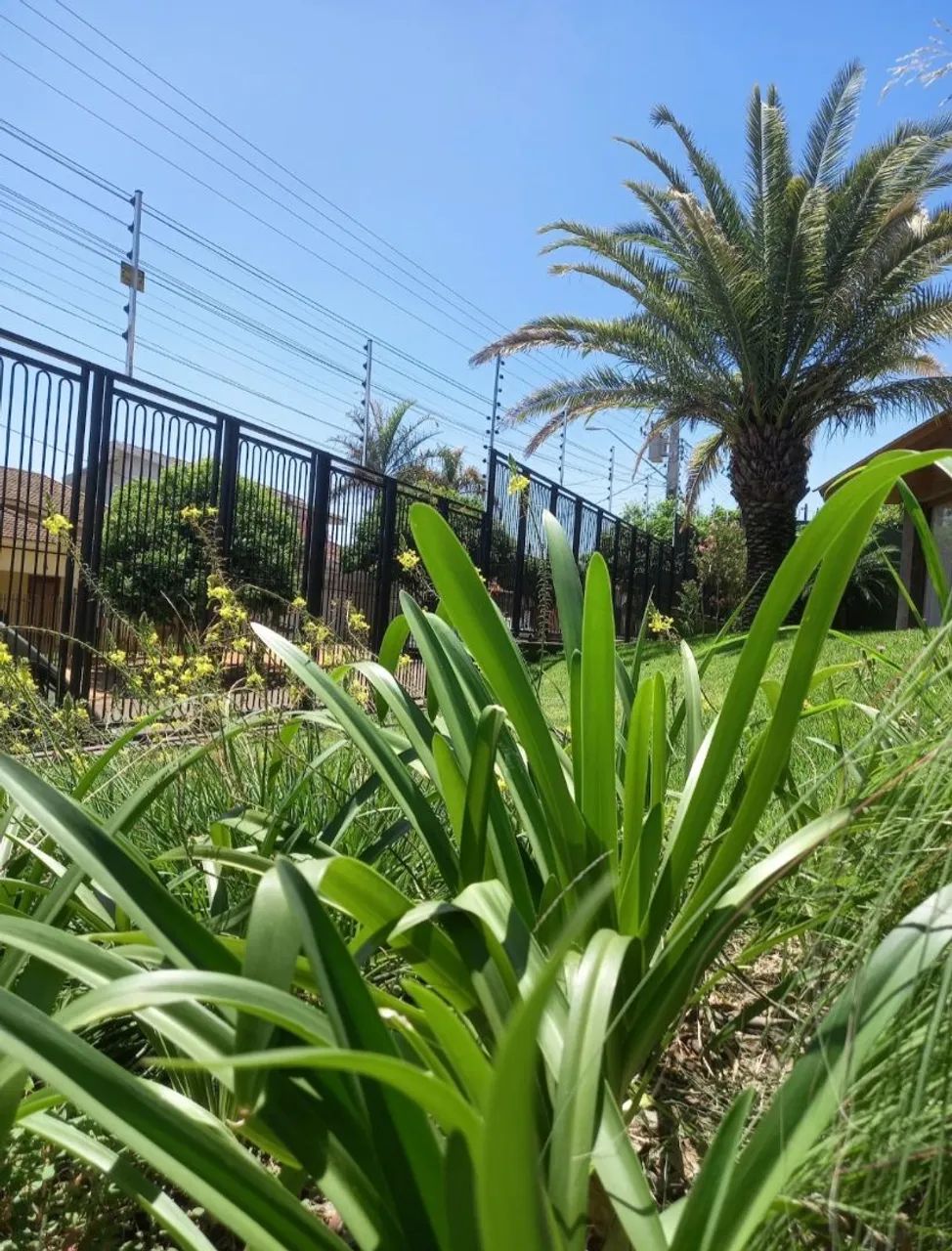 Jardineiro - Foto 2