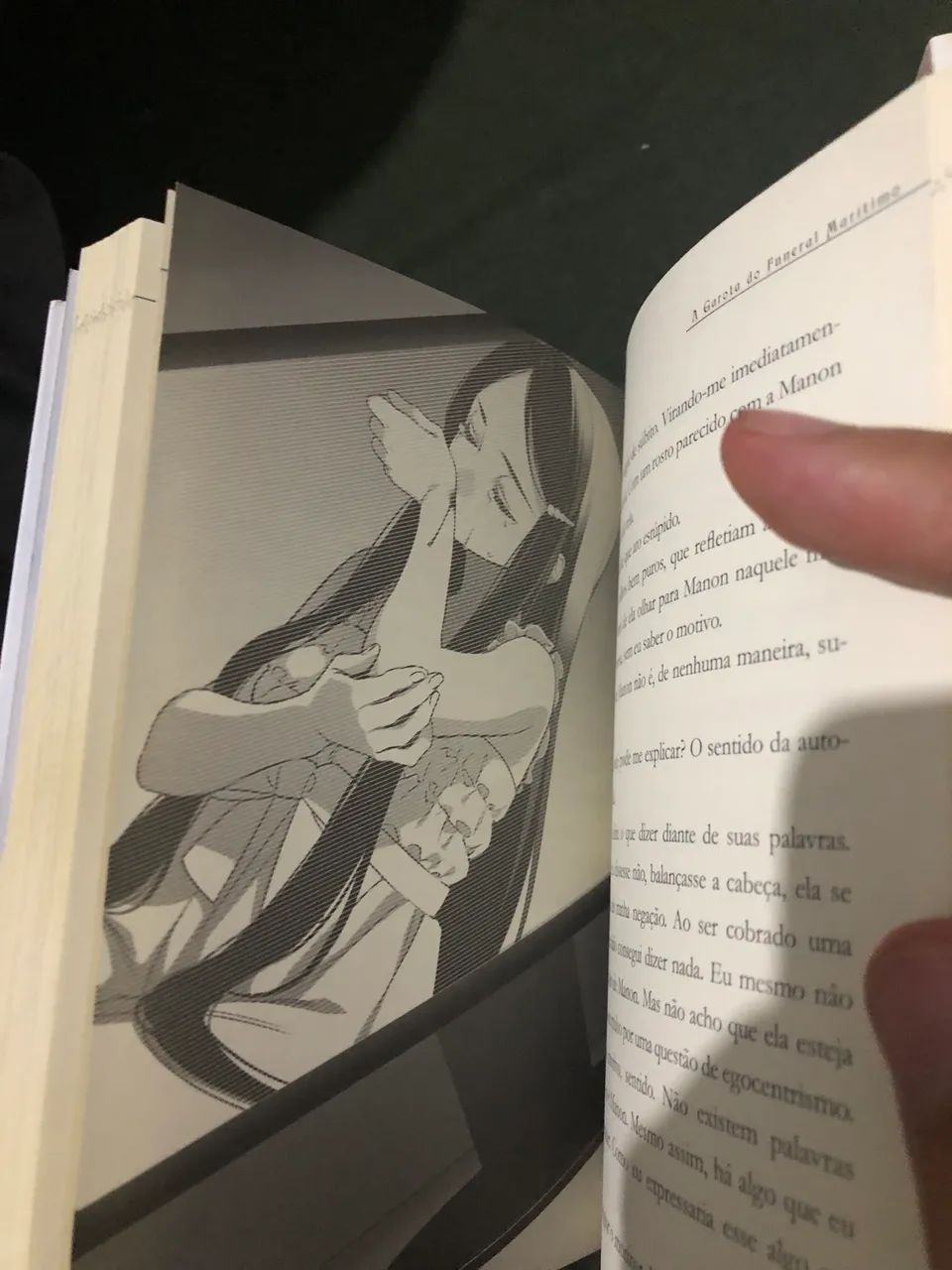 Light novel morte completa 