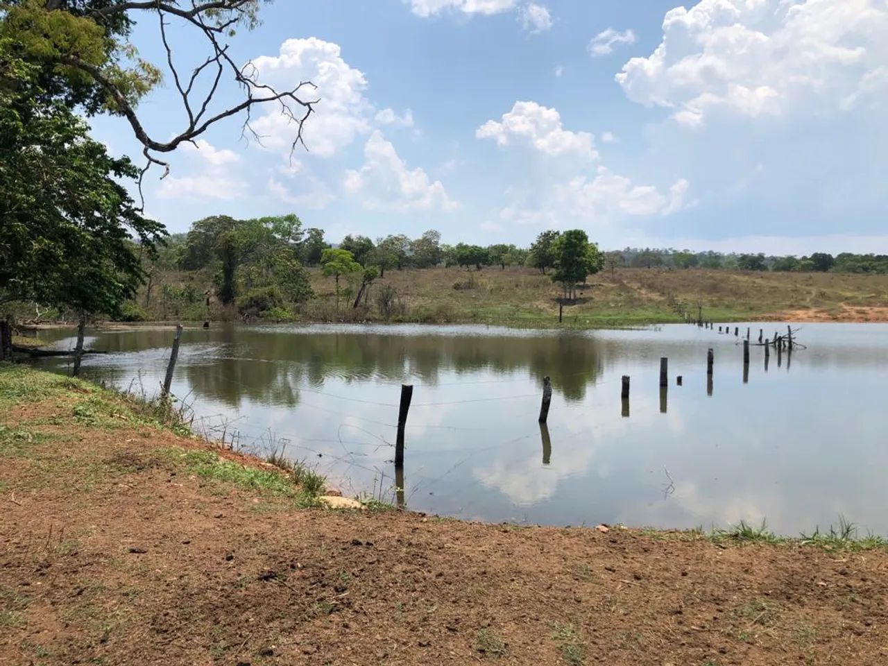 Fazenda em Campinorte-GO. 82 Alqueires