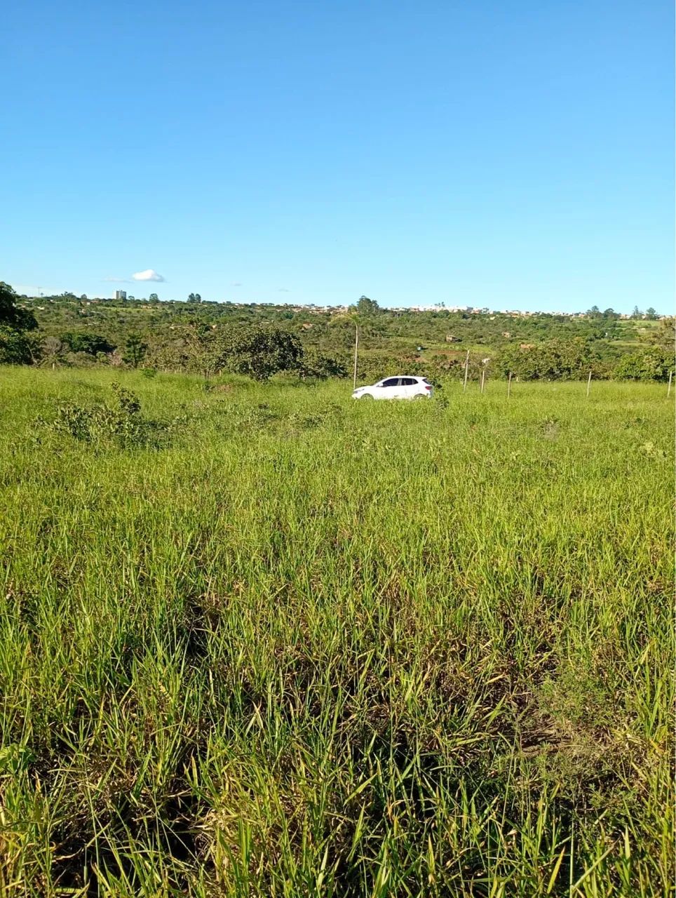 Lote na ponte alta 