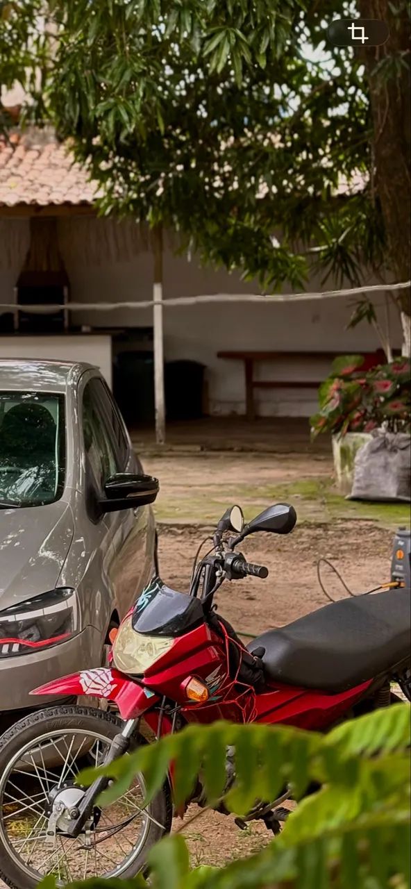 Vendo pop de leilão 