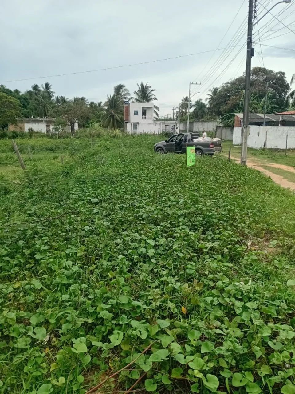Foto - Aracaju - Coroa do Meio