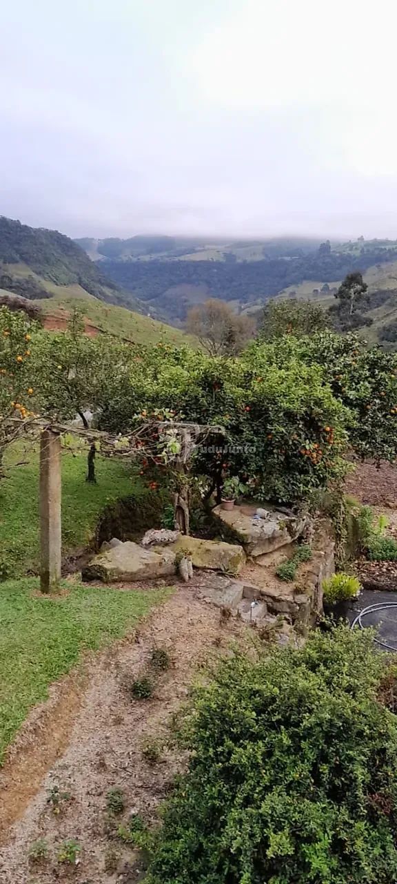 Sítio 28400m² - RIO CAETE