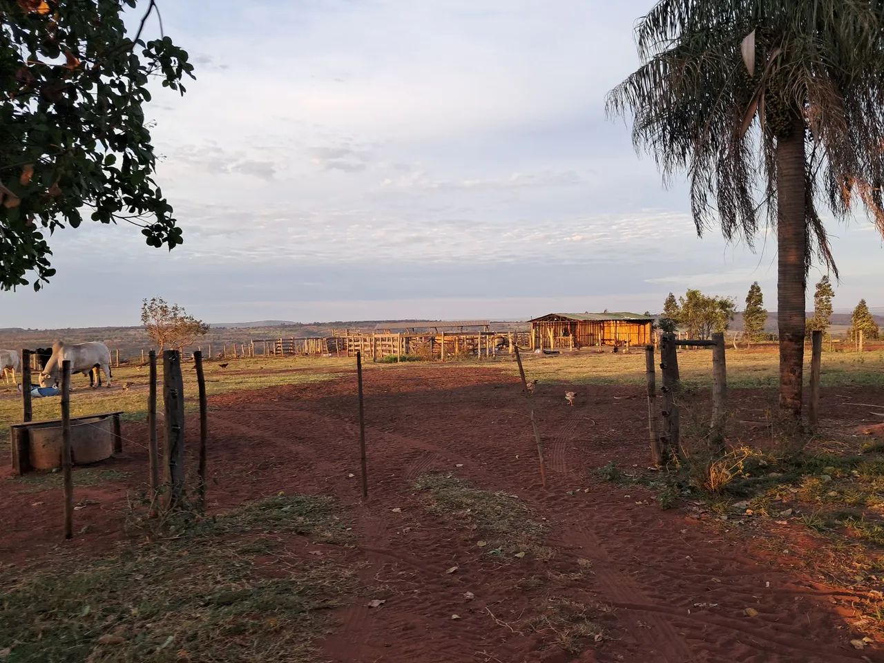 Fazenda em Anastácio MS - Foto 4