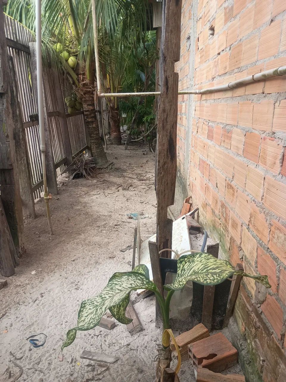 Vendo está casa  - Foto 4