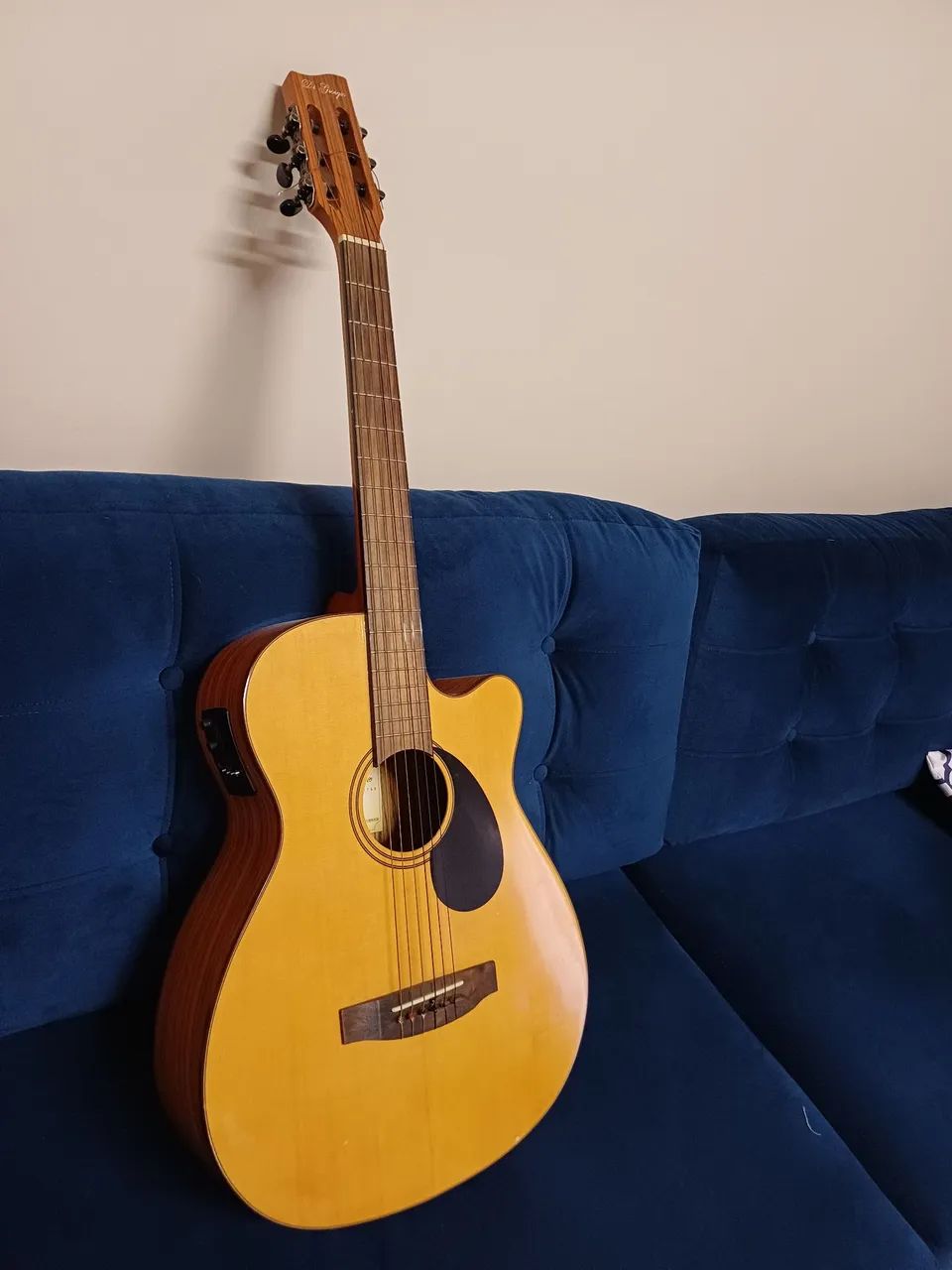 Vendo violão Di giogio com capa.