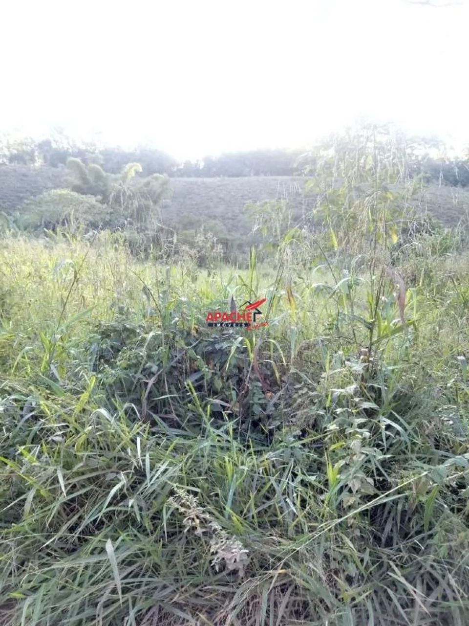 Chácara, no Sítio Boa Vista, em Viçosa - MG. - Foto 4