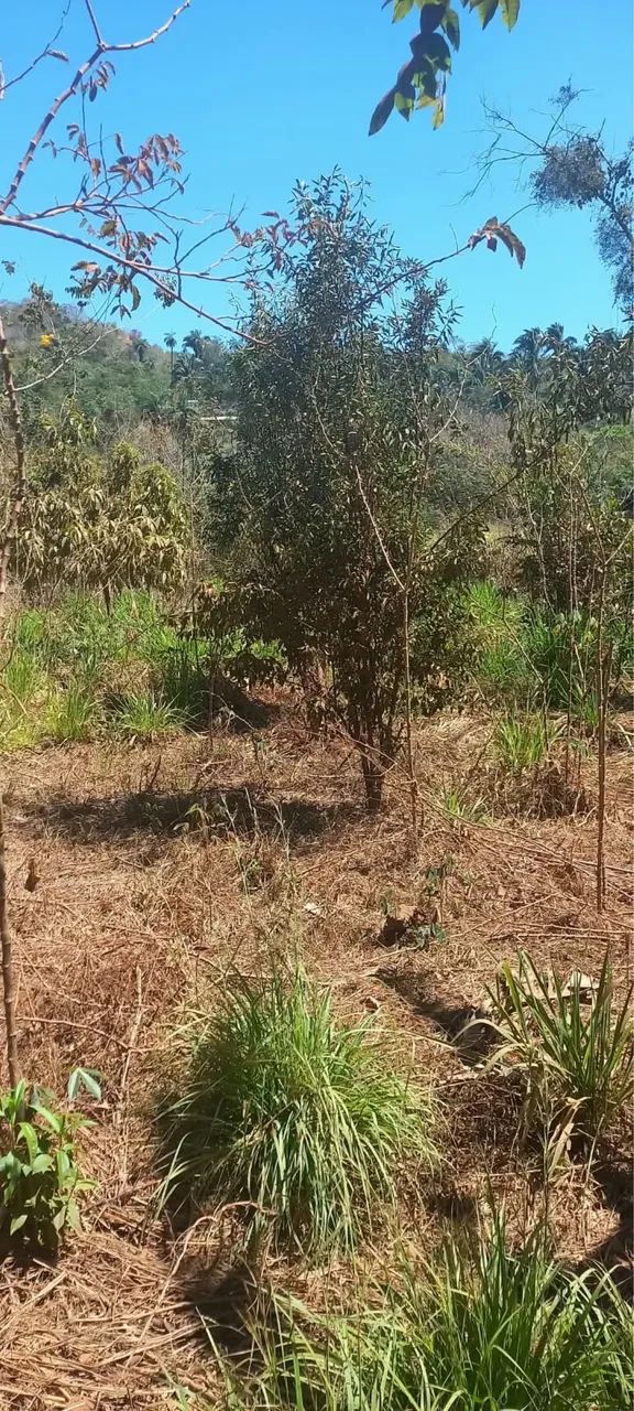 Chácara Taquaruçu 95 mil lote  - Foto 3