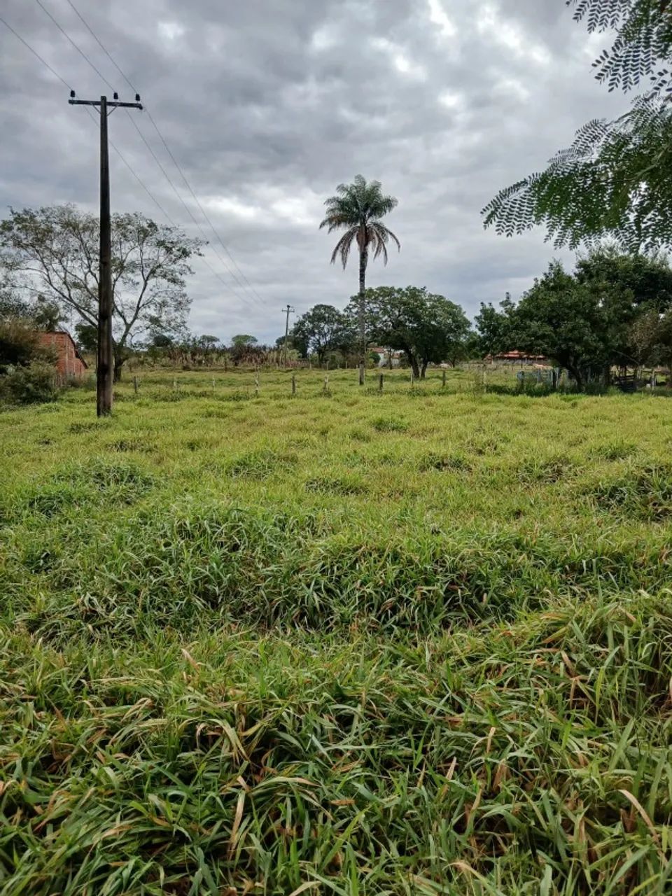 Terreno de chácara  - Foto 2