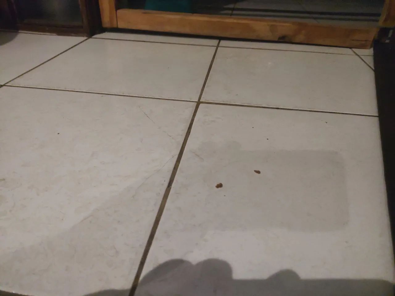 Galpão 10/20