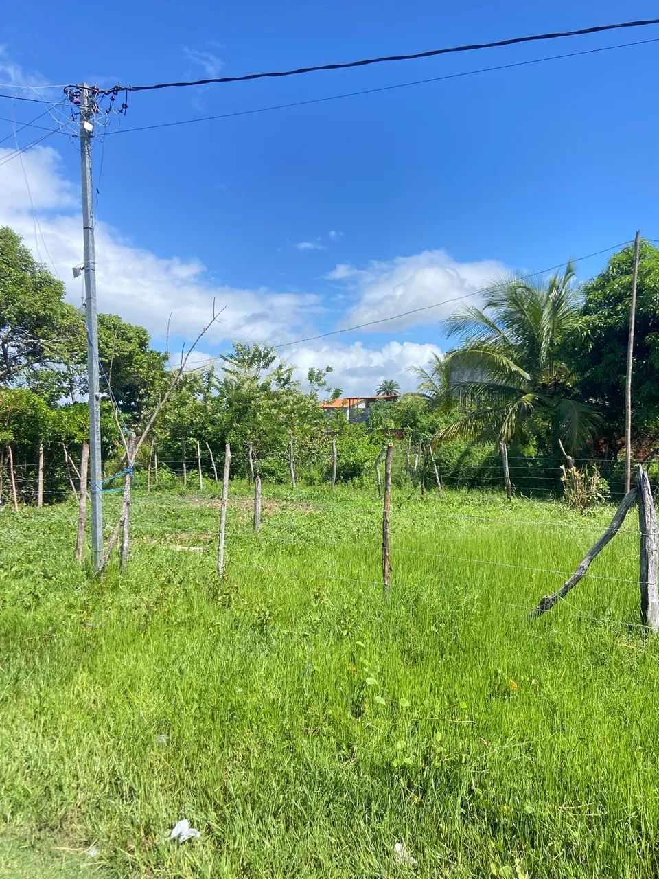 VENDE-SE TERRENO EM SAUBARA  - Foto 3