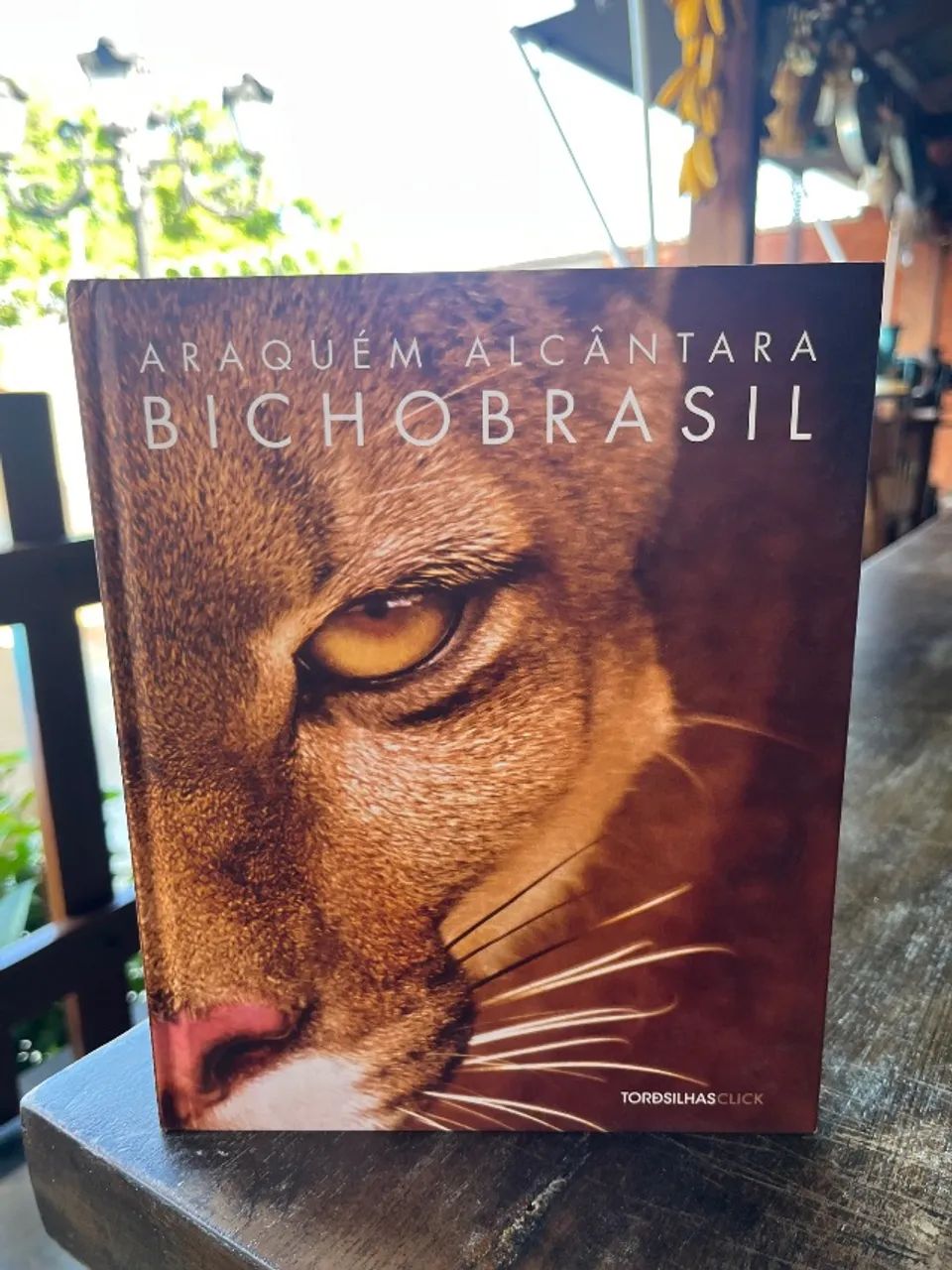 Bicho Brasil 