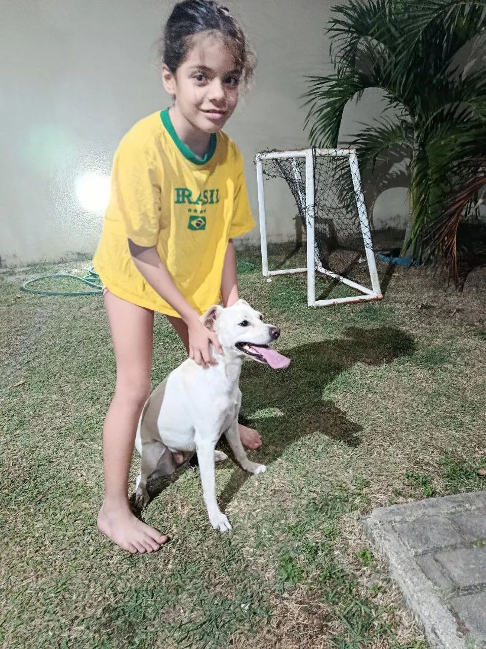 Adoção Responsável  - Foto 4