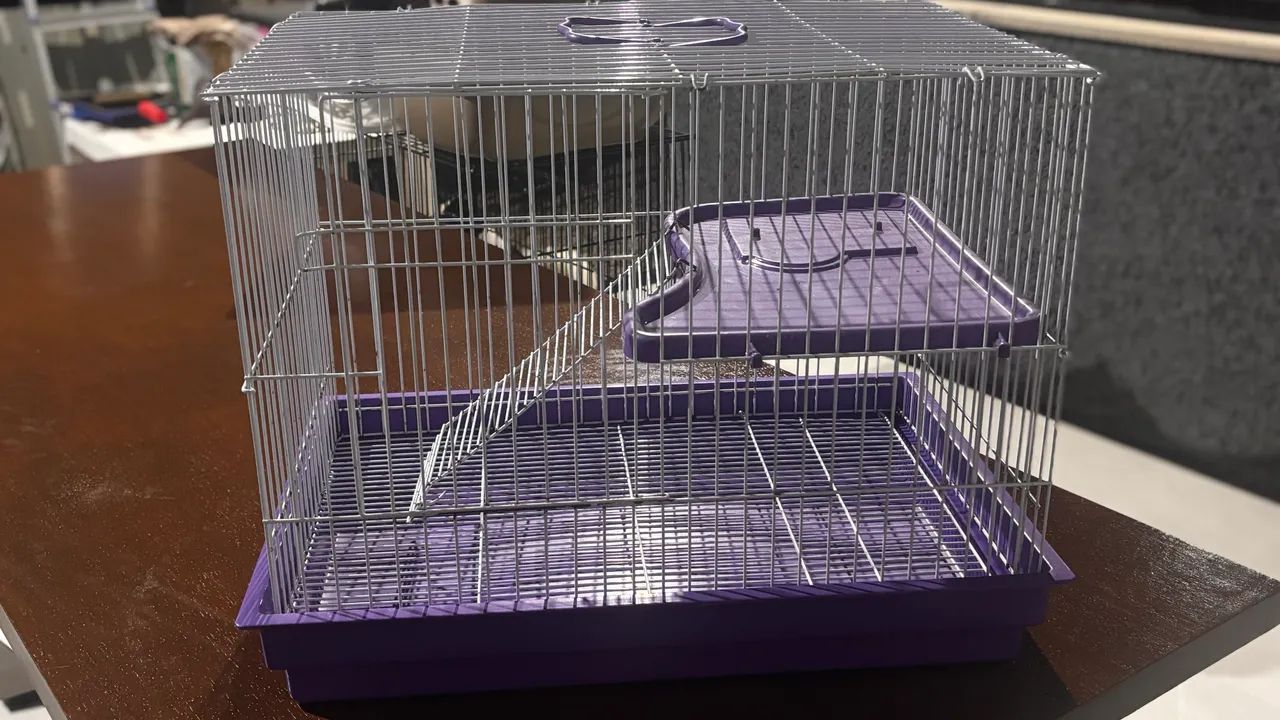 Gaiola 65181956748290120