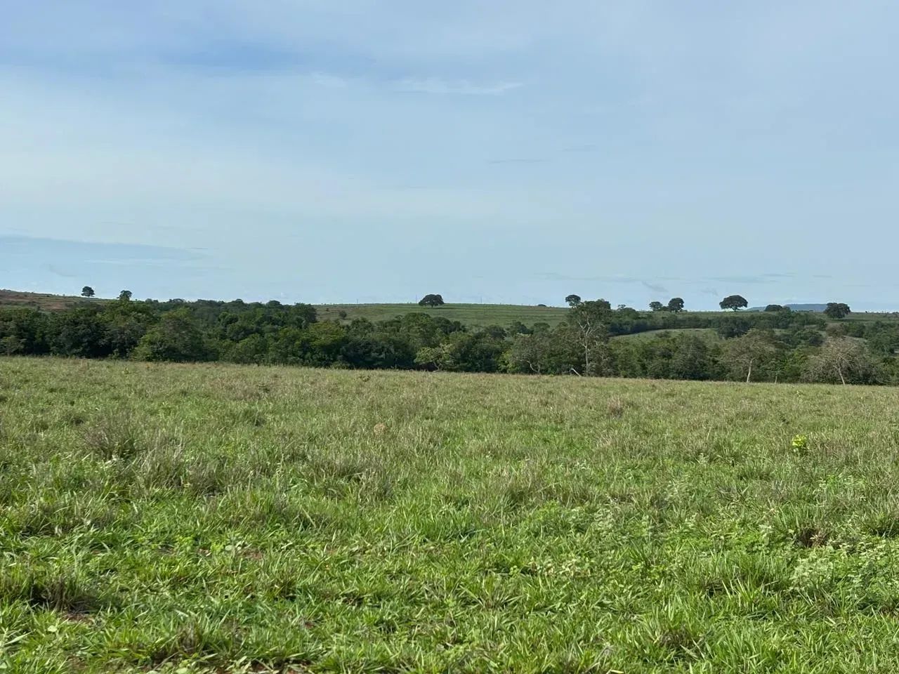Fazenda a venda, em Tesouro - MT - Foto 3