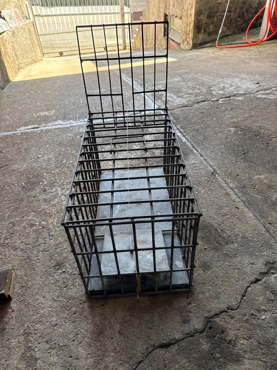 Gaiola  - Foto 2