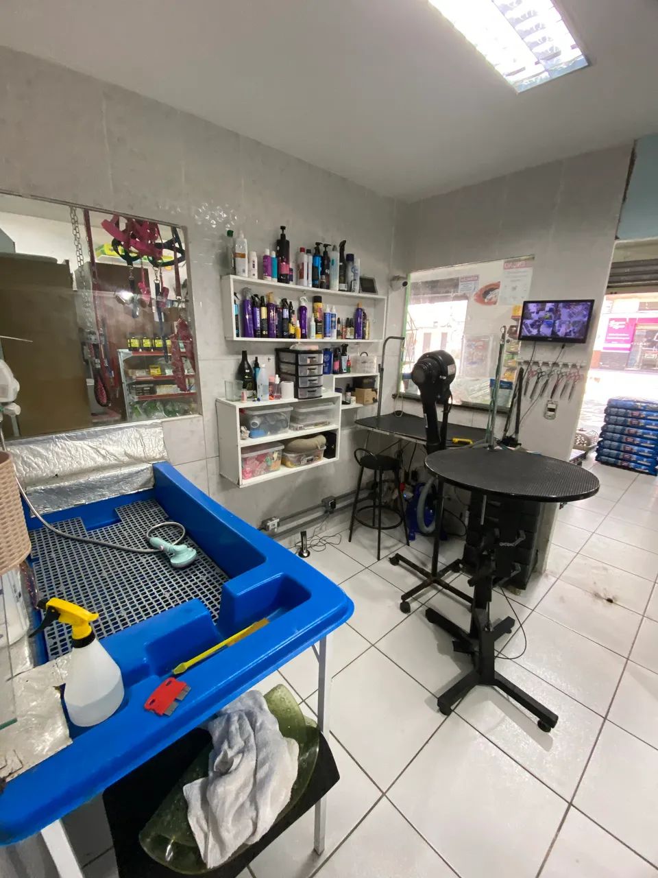 OPORTUNIDADE! Petshop em Cristóvão Colombo  - Foto 3