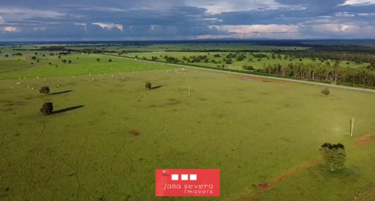 Fazenda para Venda em Britânia - Foto 4