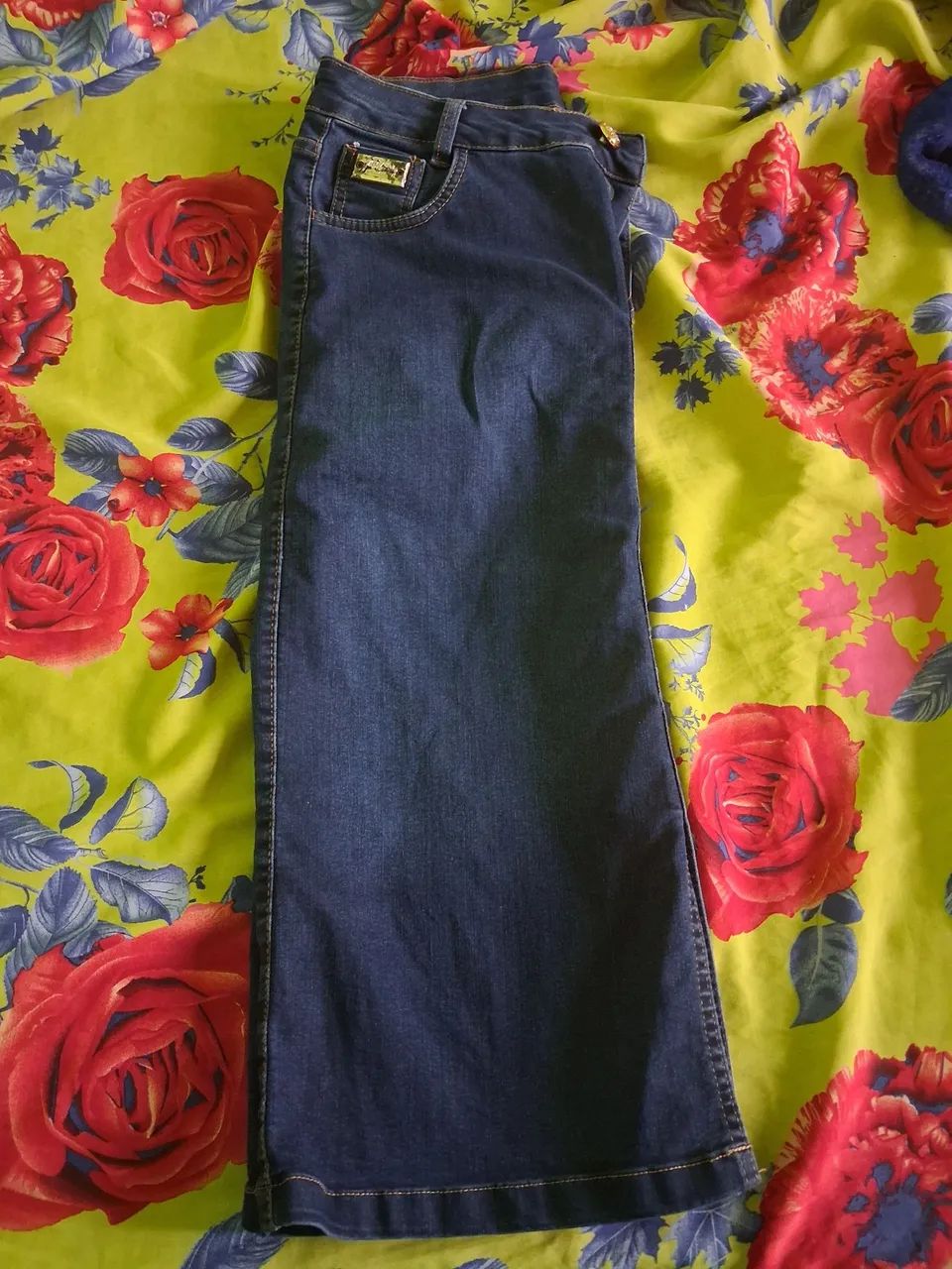 Saia - Foto 2