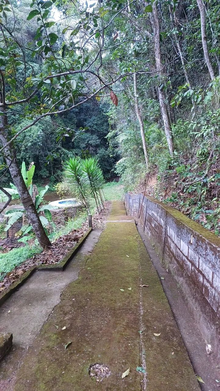 Foto - Engenheiro Paulo de Frontin - 