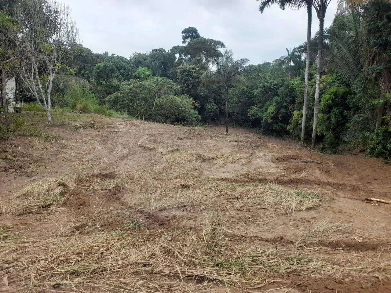 Chácara  - Foto 3