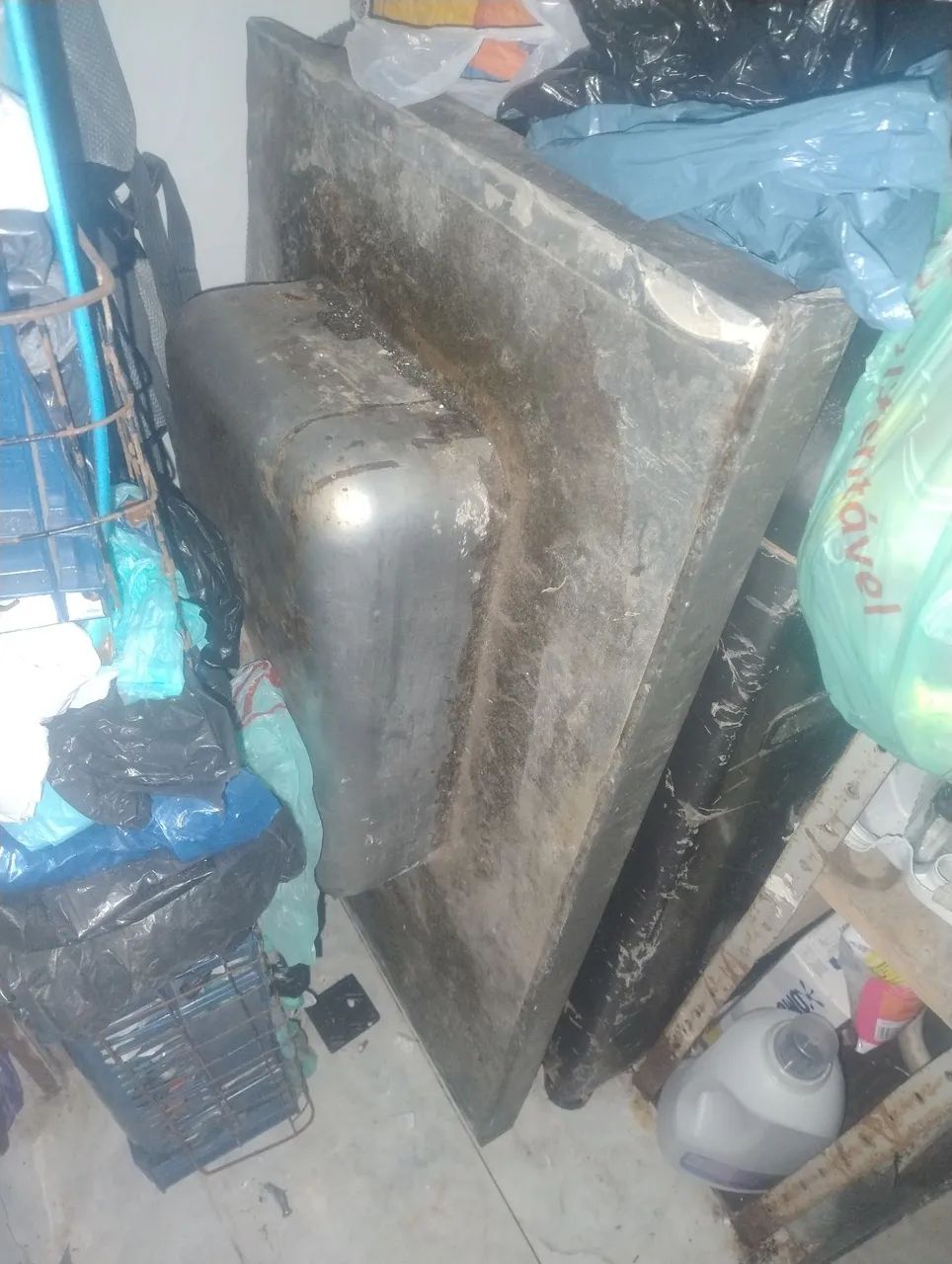 Pia