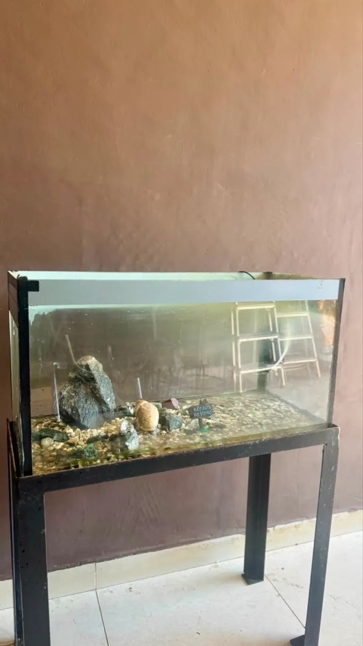 Aquário 80 Litros + suporte 