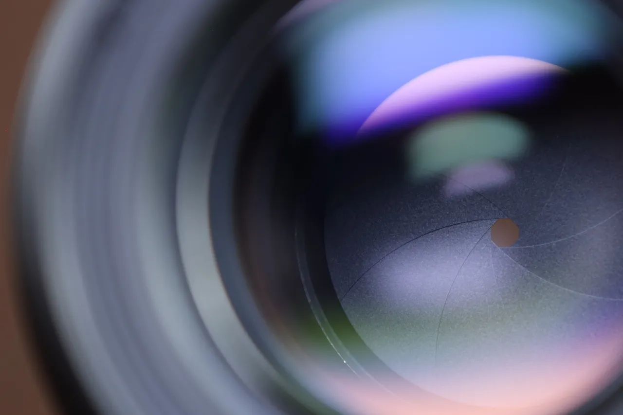 Canon EF 100mm (Macro) USM - Foto 6