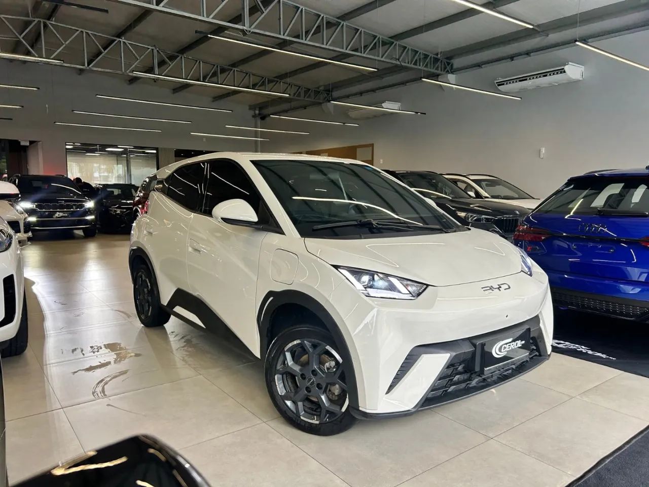 BYD Dolphin Mini (Elétrico) 2026 - Foto 3