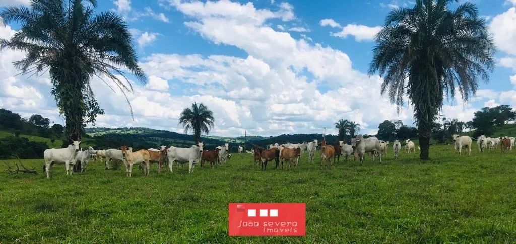Fazenda para Venda em Caturaí