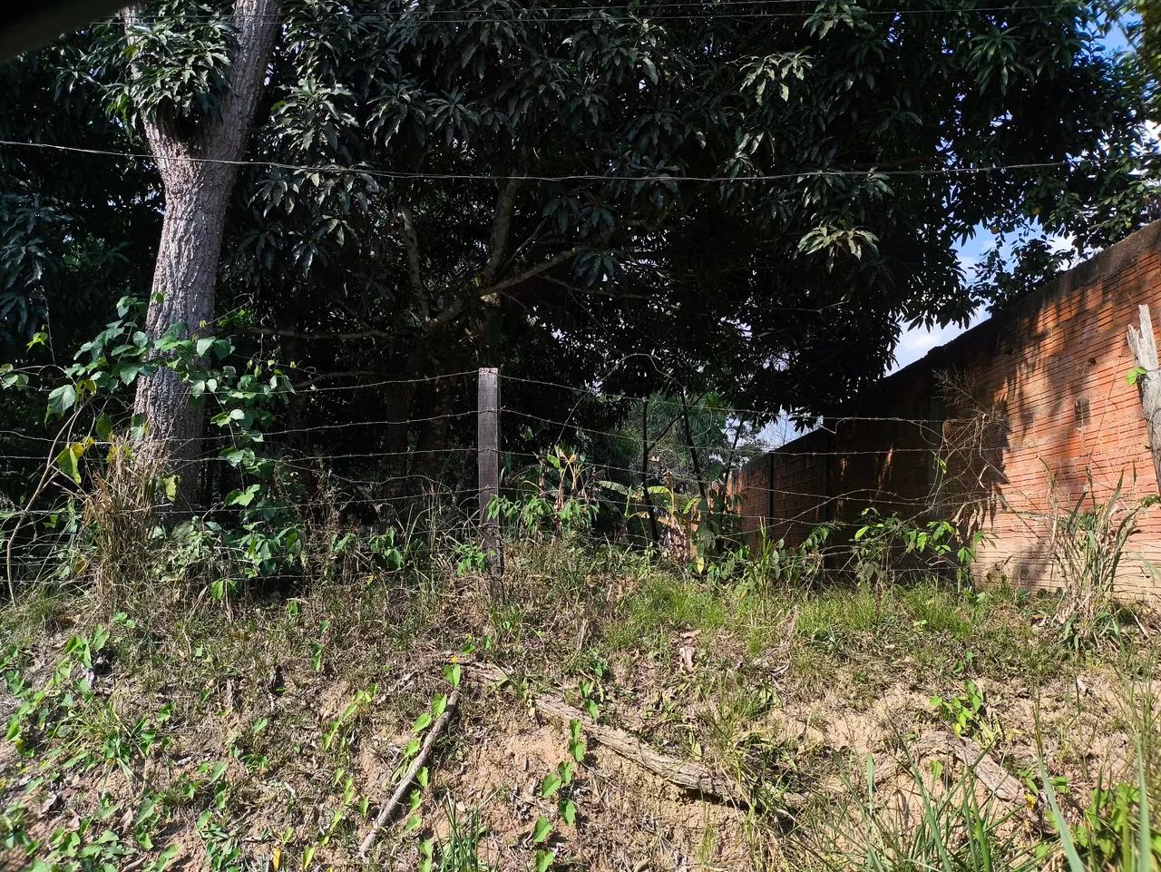 Vendo terreno - Foto 4