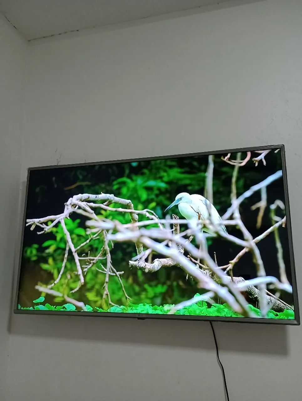 Tv smart LG 4k 50 polegadas semi nova R$1.350 - Foto 4