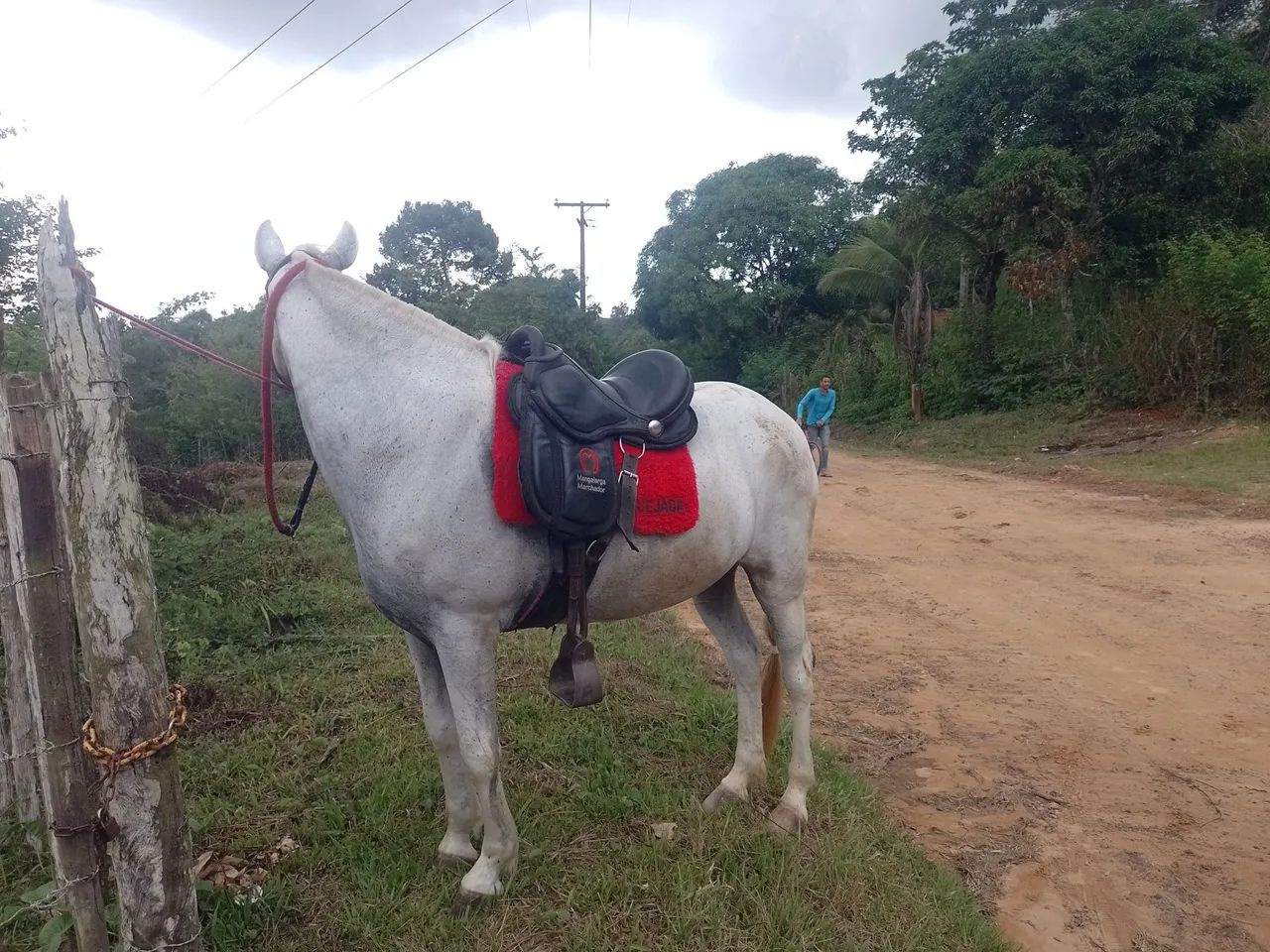 Égua Mm