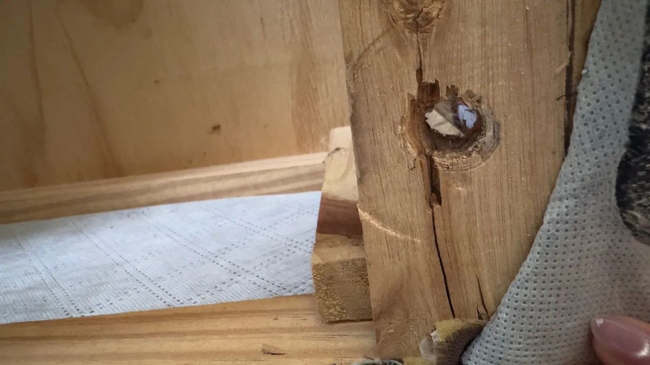 Box Queen  - Foto 4