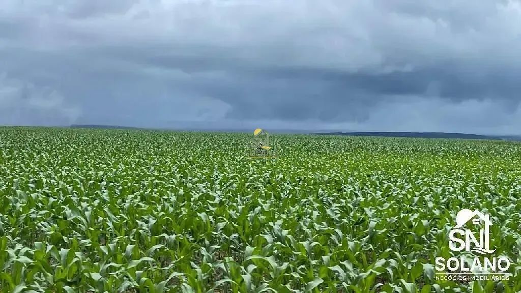 FAZENDA A VENDA EM NOBRES-MT - Foto 4